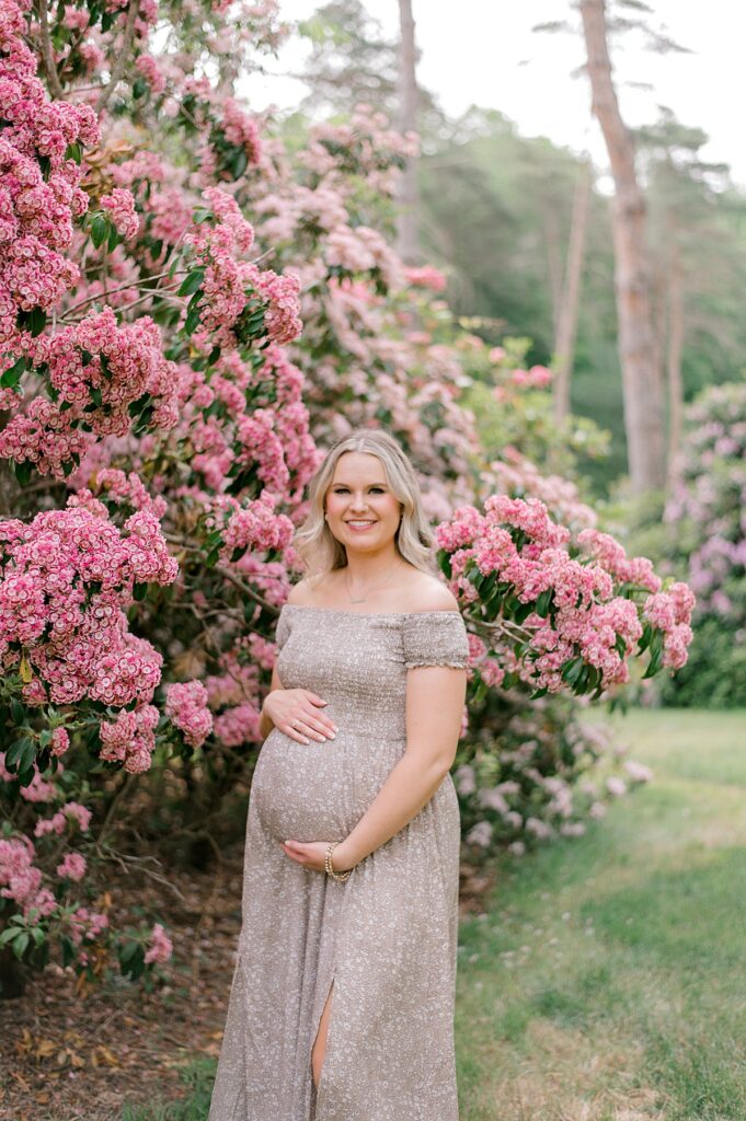 A pregnant mother holding her belly while standing next to a pink flowering bush in a brown and tan flower dress at Schoepfle Gardens by maternity photographer Brittany Serowski Photography.