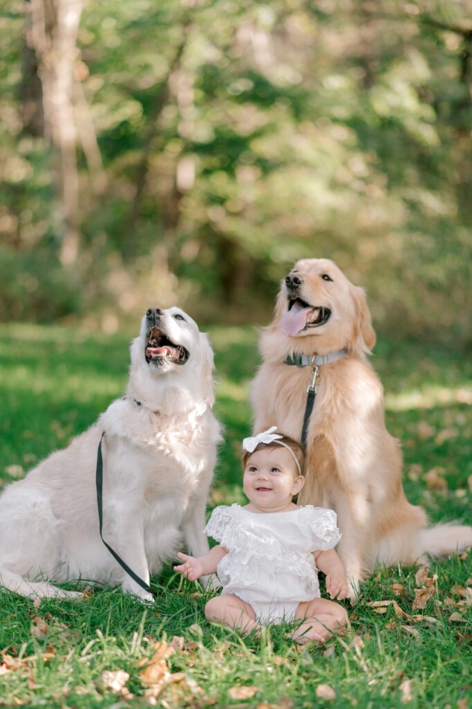 A young baby girl, sitting on the grass smiling while looking off camera, nestled in between her two golden retrievers who are also smiling and looking off camera for a schoepfle garden photography session by Brittany Serowski Photography.