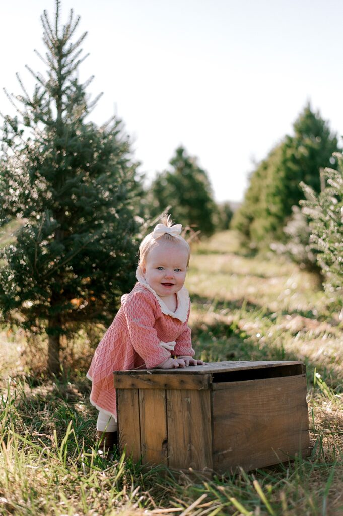 A Cleveland Tree Farm milestone portrait session by Brittany Serowski Photography. A one year old girl in a pink dress and white bow in her hair, standing next to a wooden crate in front of rows of Christmas Trees, smiling at the camera.