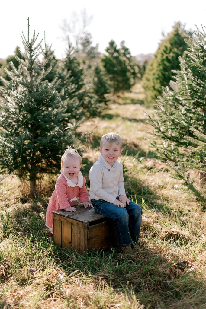 A Cleveland Tree Farm milestone portrait session by Brittany Serowski Photography. A young pair of siblings in front of rows of Christmas trees. THe young boy is sitting on a wooden crate while his younger sister is standing behind the wooden crate holding on. Both are smiling and looking at the camera.
