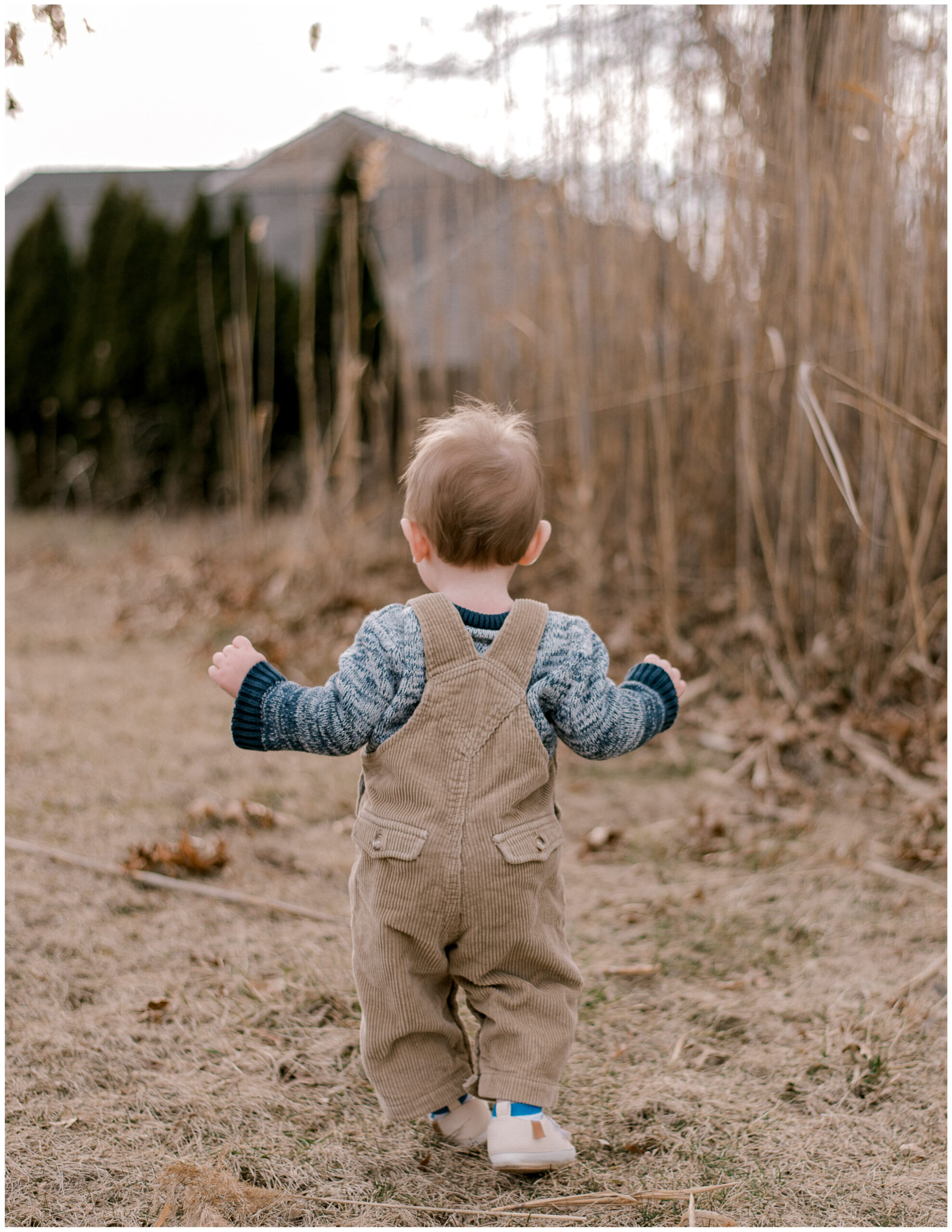 A one year old boy in corduroy overalls and a blue sweater, walking away from the camera for a one year milestone session by Cleveland Family Photographer, Brittany Serowski Photography.